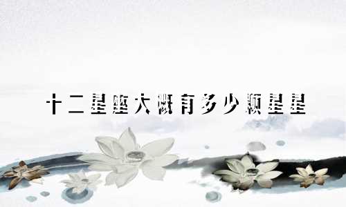 十二星座大概有多少颗星星