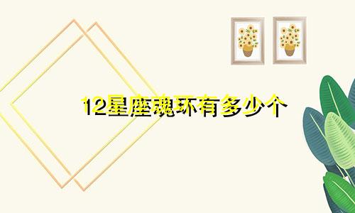 12星座魂环有多少个