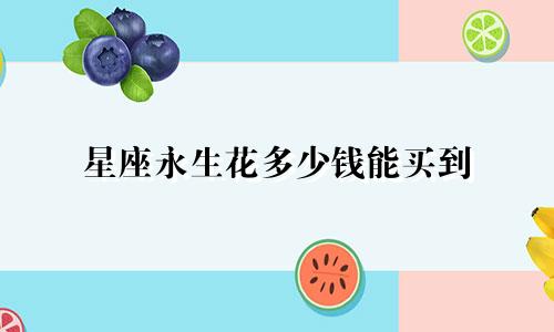 星座永生花多少钱能买到