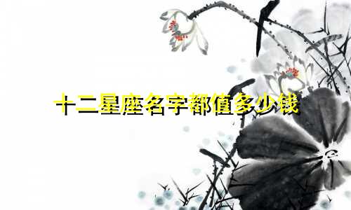 十二星座名字都值多少钱