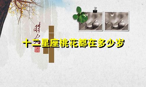 十二星座桃花都在多少岁