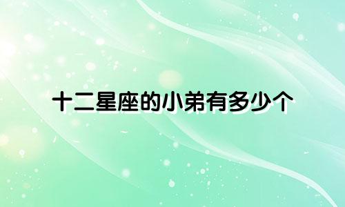 十二星座的小弟有多少个