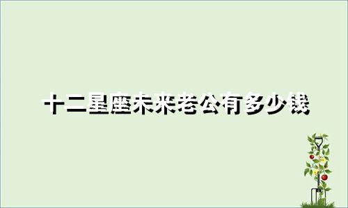 十二星座未来老公有多少钱