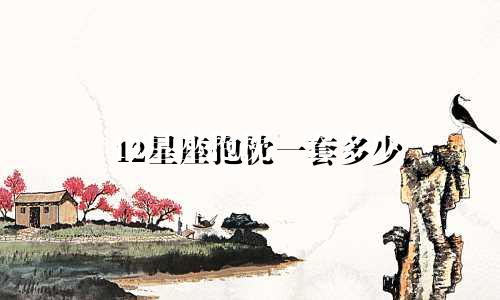 12星座抱枕一套多少