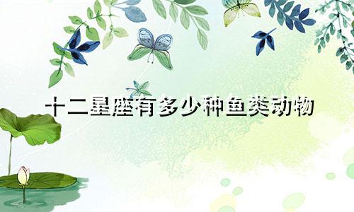 十二星座有多少种鱼类动物