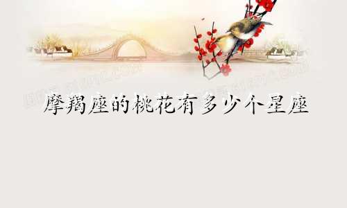 摩羯座的桃花有多少个星座