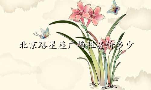 北京路星座广场租房价多少