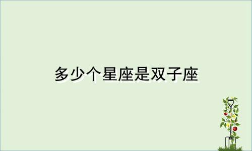 多少个星座是双子座