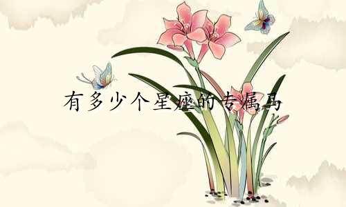 有多少个星座的专属马