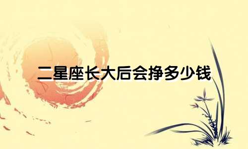 二星座长大后会挣多少钱