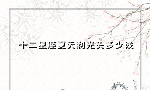 十二星座夏天剃光头多少钱