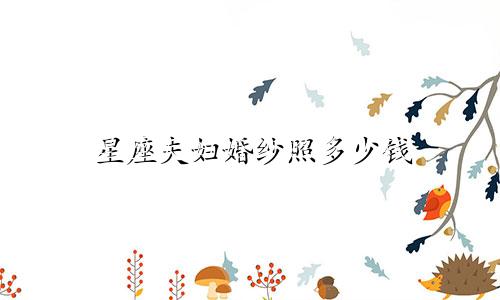 星座夫妇婚纱照多少钱