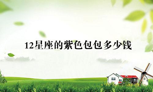 12星座的紫色包包多少钱