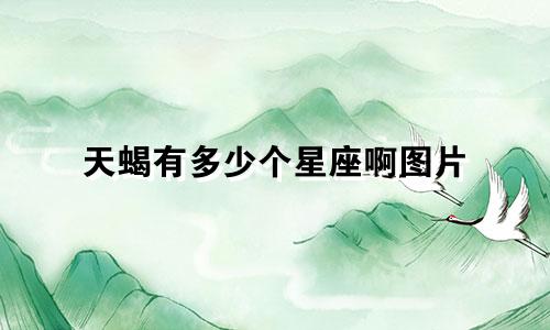 天蝎有多少个星座啊图片
