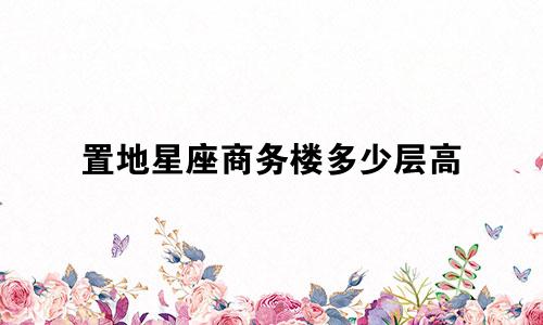 置地星座商务楼多少层高