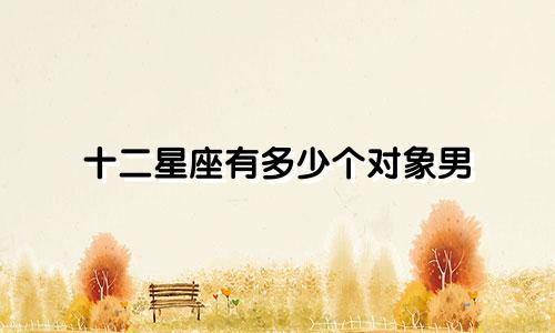 十二星座有多少个对象男