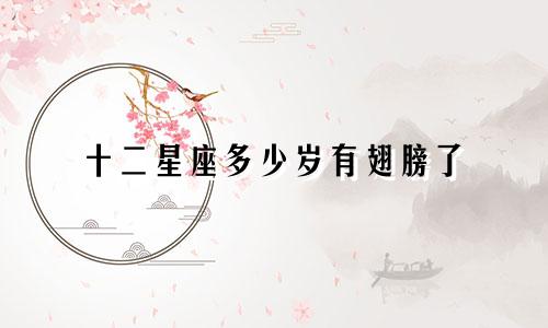 十二星座多少岁有翅膀了