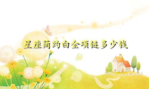 星座简约白金项链多少钱