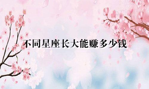 不同星座长大能赚多少钱