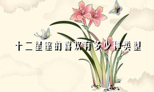 十二星座的喜欢有多少种类型