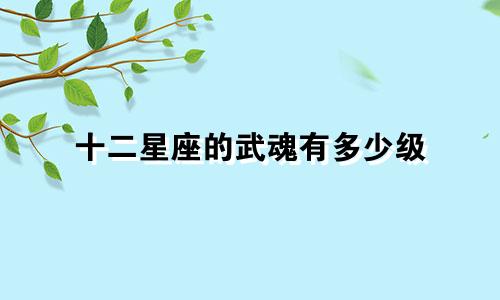 十二星座的武魂有多少级