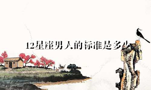 12星座男人的标准是多少
