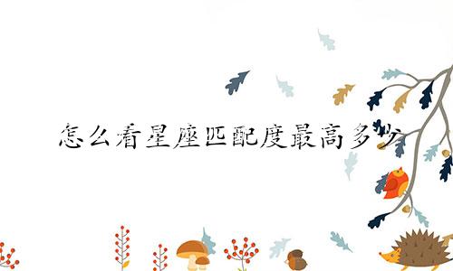 怎么看星座匹配度最高多少