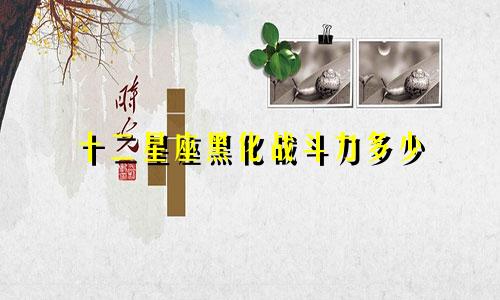 十二星座黑化战斗力多少