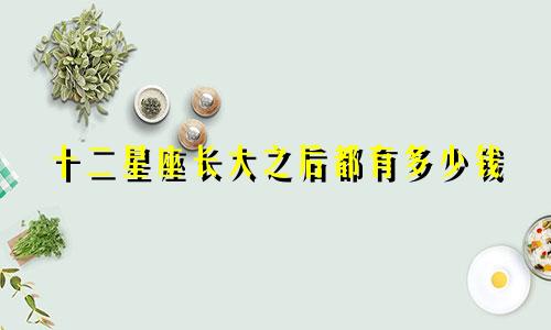 十二星座长大之后都有多少钱