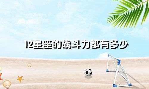 12星座的战斗力都有多少