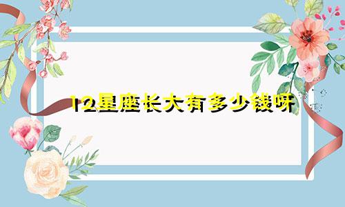 12星座长大有多少钱呀