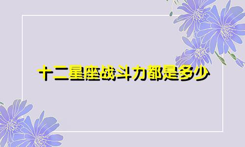 十二星座战斗力都是多少