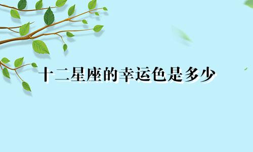 十二星座的幸运色是多少