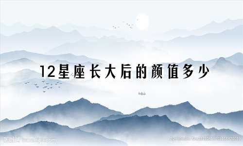 12星座长大后的颜值多少