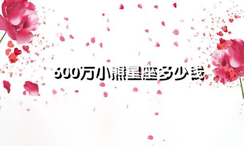 600万小熊星座多少钱