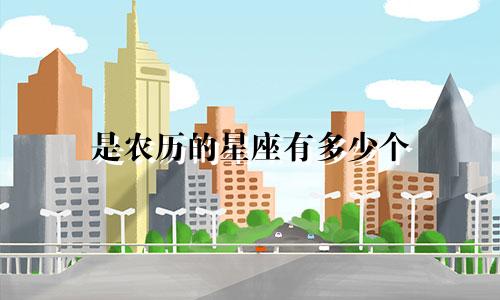 是农历的星座有多少个