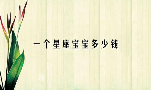 一个星座宝宝多少钱