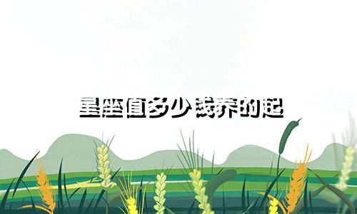 星座值多少钱养的起