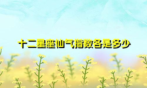 十二星座仙气指数各是多少
