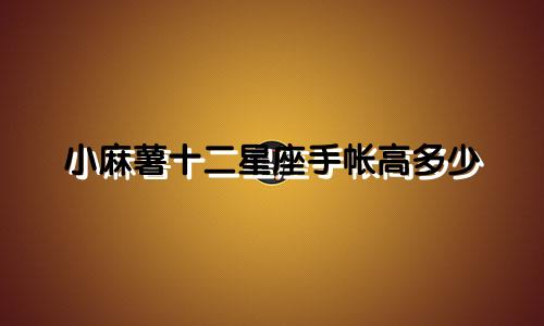 小麻薯十二星座手帐高多少