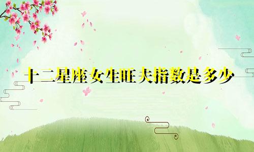 十二星座女生旺夫指数是多少