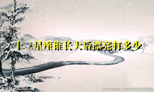 十二星座谁长大后漂亮打多少