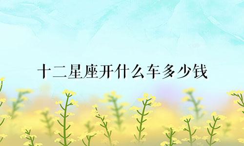 十二星座开什么车多少钱