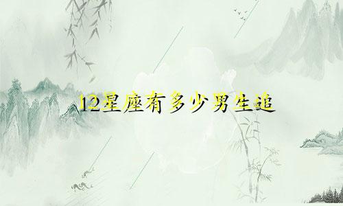 12星座有多少男生追