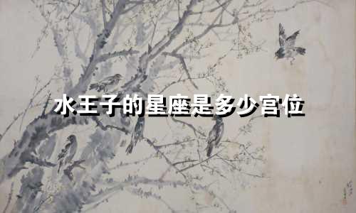 水王子的星座是多少宫位