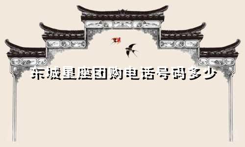 东城星座团购电话号码多少