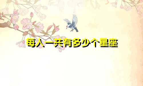 每人一共有多少个星座