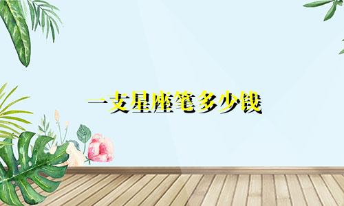 一支星座笔多少钱