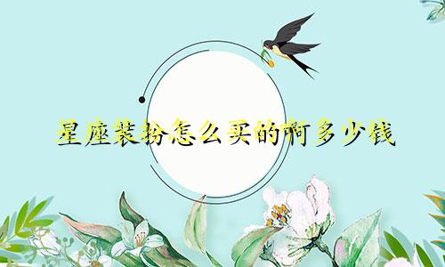 星座装扮怎么买的啊多少钱