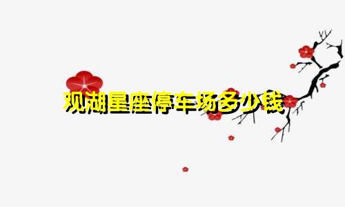 观湖星座停车场多少钱